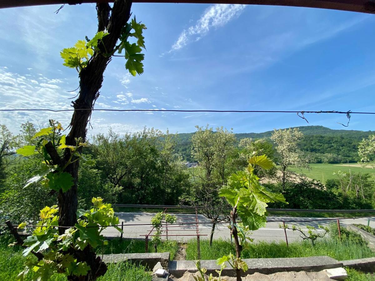 Apartman Verona Бузет Екстер'єр фото