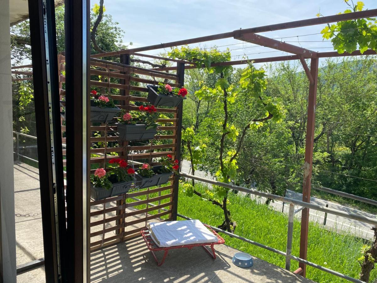 Apartman Verona Бузет Екстер'єр фото